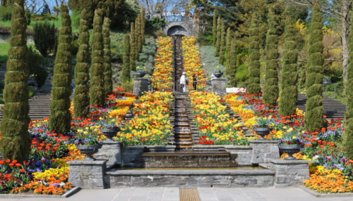 scalinata-nell-isola-di-mainau-piena-di-bellissimi-e-colorati-fiori