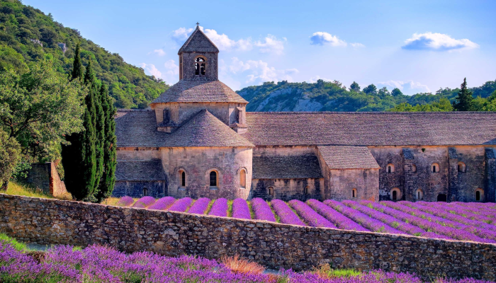 vista-frontale-dell-abazia-di-senanque-in-provenza-con-davanti-i-giardini-fioriti-di-lavanda