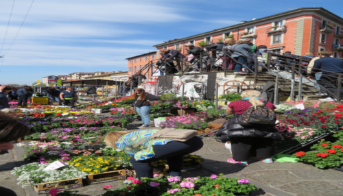 fra-le-case-e-le-strade-che-costeggiano-il-naviglio-grande-di-milano-sfoggiano-i-colori-dei-fiori-di-primavera