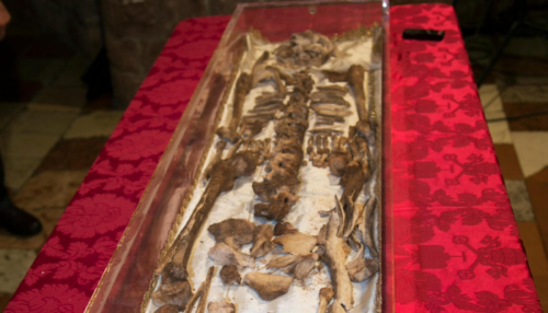 si-vedono-le-ossa-del-corpo-di-francesco-d-assisi-in-una-specie-di-sarcofago-rosso